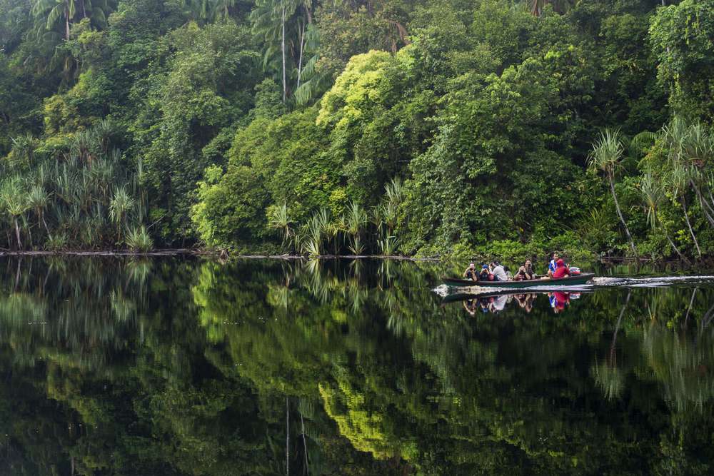 https://mdw-travel-data-us-east-1.s3.amazonaws.com/img/country/Indonesia/Sembilang-National-Park/img_02.jpg