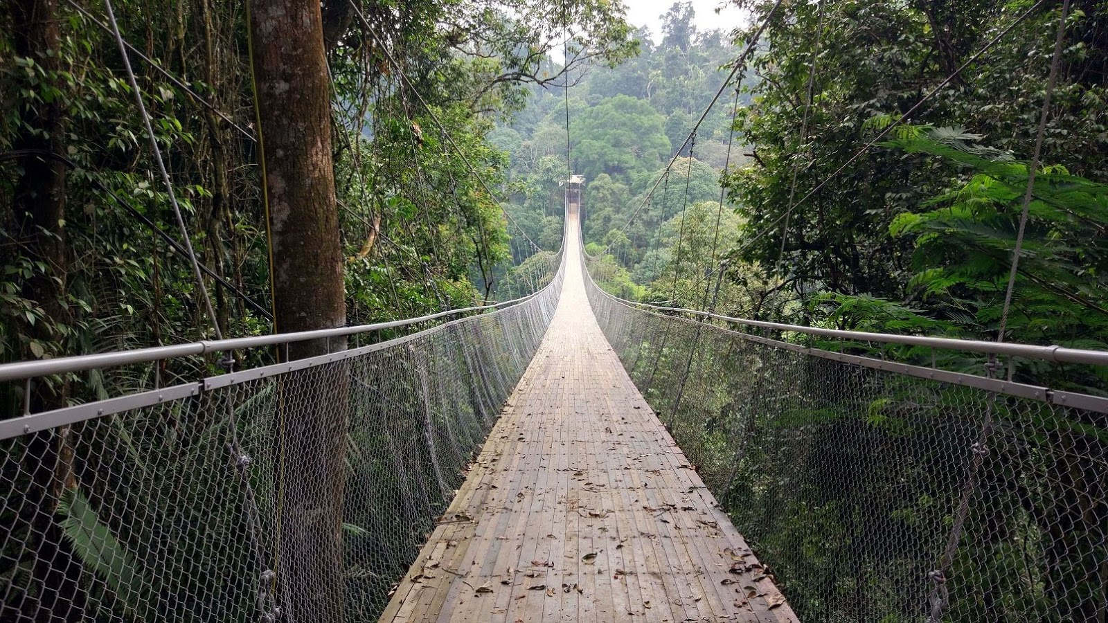 https://mdw-travel-data-us-east-1.s3.amazonaws.com/img/country/Indonesia/Situ-Gunung-Suspension-Bridge/img_02.jpg