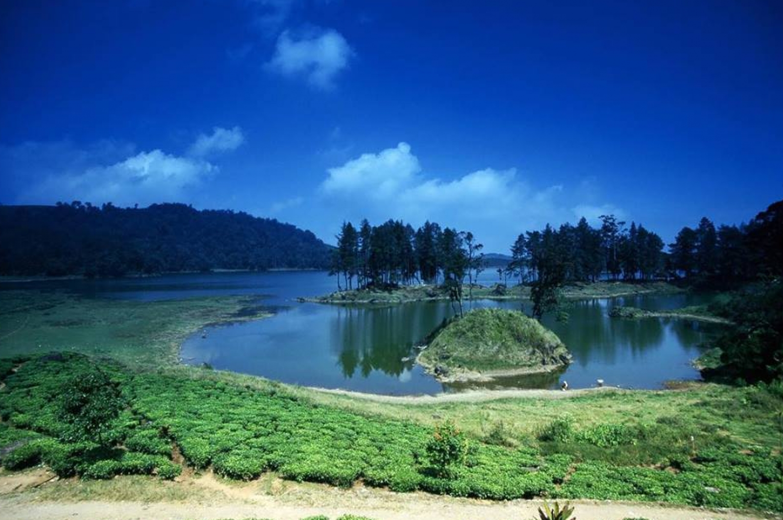 https://mdw-travel-data-us-east-1.s3.amazonaws.com/img/country/Indonesia/Situ-Patenggang-Patenggang-Lake/img_00.jpg