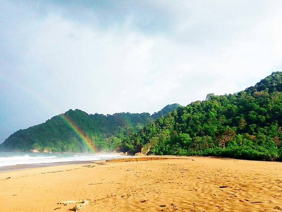 https://mdw-travel-data-us-east-1.s3.amazonaws.com/img/country/Indonesia/Sukamade-Beach/img_01.jpg