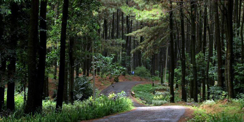 https://mdw-travel-data-us-east-1.s3.amazonaws.com/img/country/Indonesia/Taman-Air-Gunung-Pancar/img_01.jpg