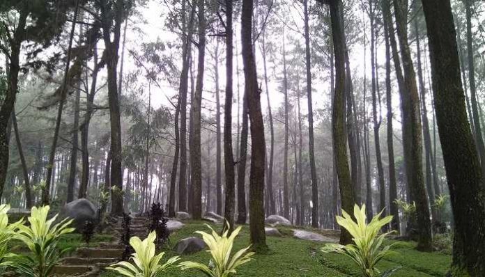https://mdw-travel-data-us-east-1.s3.amazonaws.com/img/country/Indonesia/Taman-Air-Gunung-Pancar/img_03.jpg