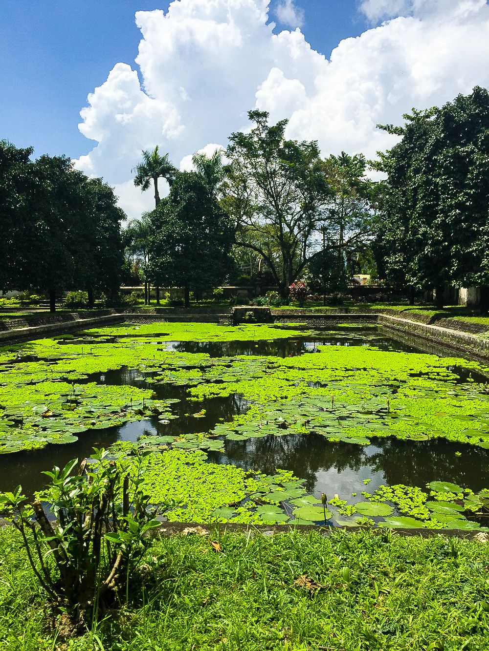 https://mdw-travel-data-us-east-1.s3.amazonaws.com/img/country/Indonesia/Taman-Bungkul/img_01.jpg