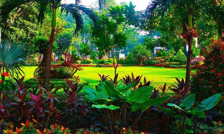https://mdw-travel-data-us-east-1.s3.amazonaws.com/img/country/Indonesia/Taman-Bungkul/img_03.jpg