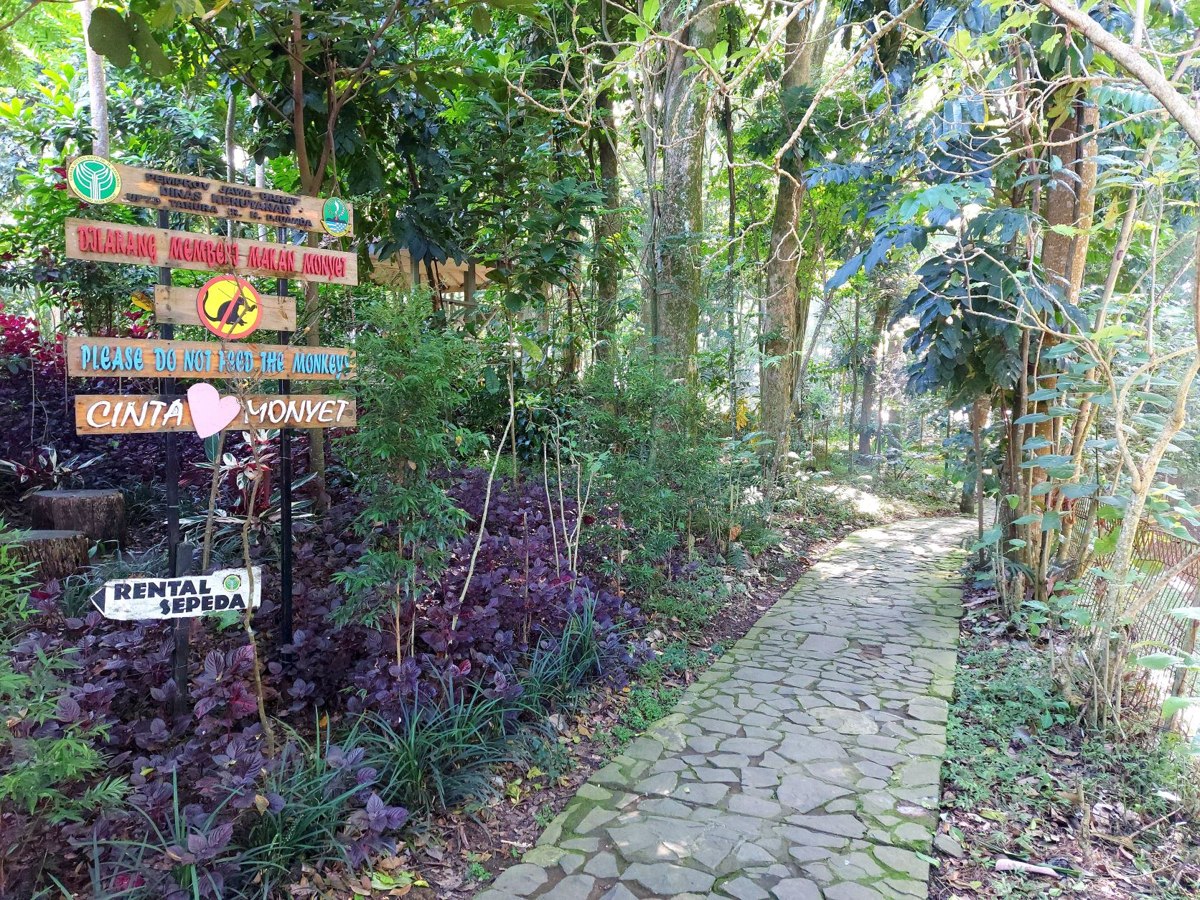 https://mdw-travel-data-us-east-1.s3.amazonaws.com/img/country/Indonesia/Taman-Hutan-Raya-Ir-H-Djuanda/img_01.jpg