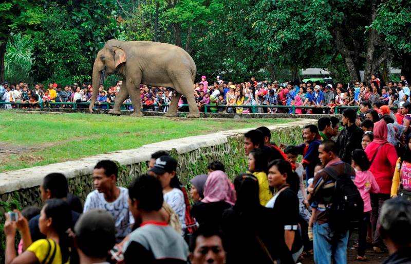 https://mdw-travel-data-us-east-1.s3.amazonaws.com/img/country/Indonesia/Taman-Margasatwa-Ragunan/img_02.jpg