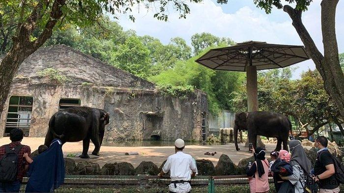 https://mdw-travel-data-us-east-1.s3.amazonaws.com/img/country/Indonesia/Taman-Margasatwa-Ragunan/img_03.jpg