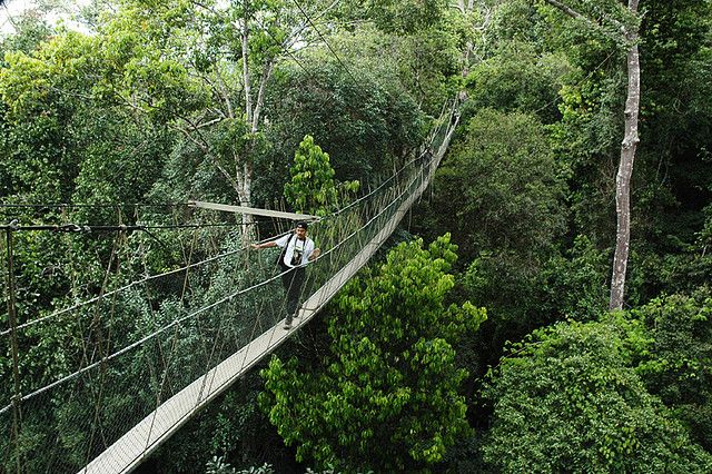 https://mdw-travel-data-us-east-1.s3.amazonaws.com/img/country/Indonesia/Taman-Mayangkara/img_02.jpg