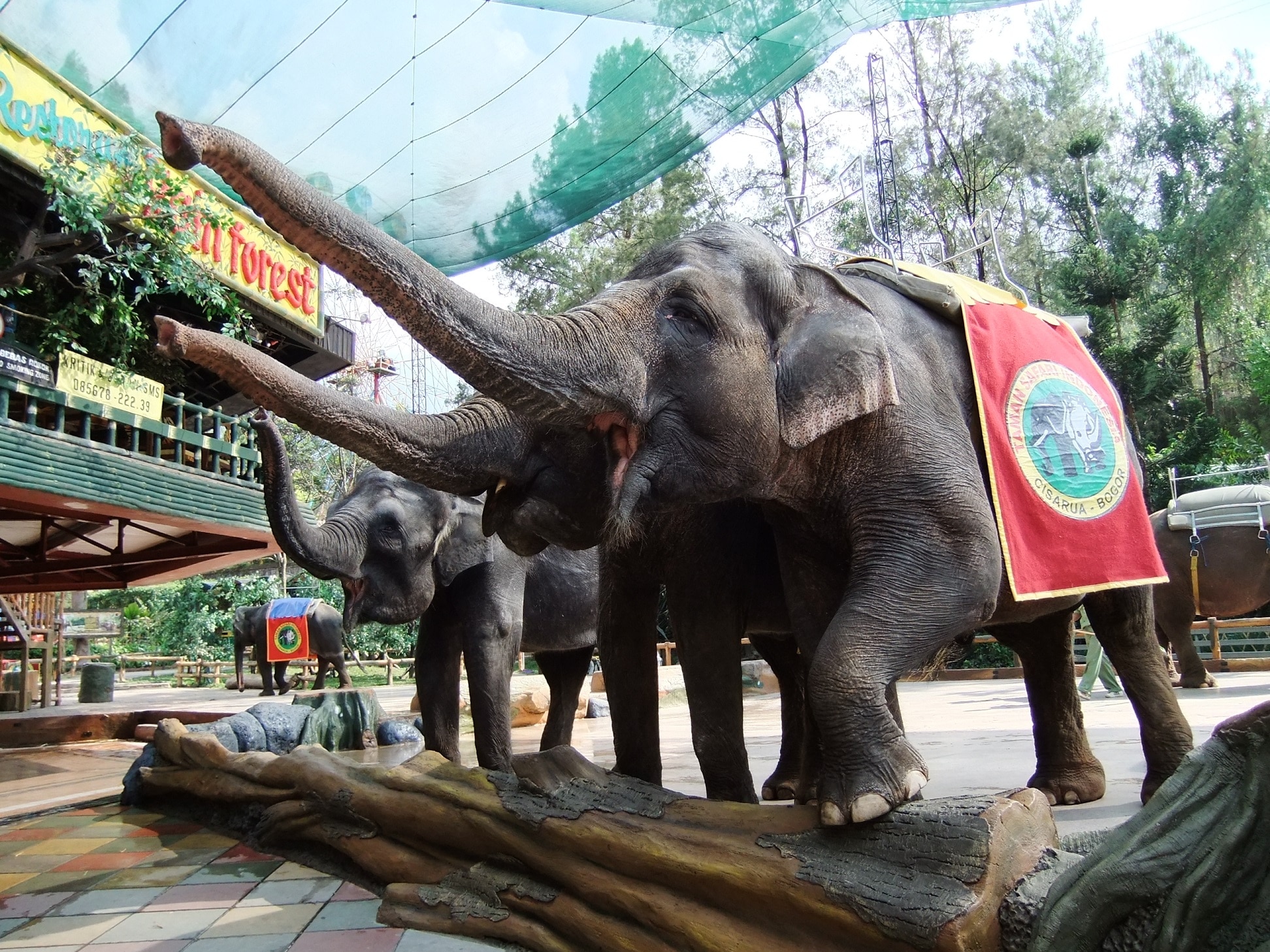 https://mdw-travel-data-us-east-1.s3.amazonaws.com/img/country/Indonesia/Taman-Safari-Indonesia-II/img_03.jpg