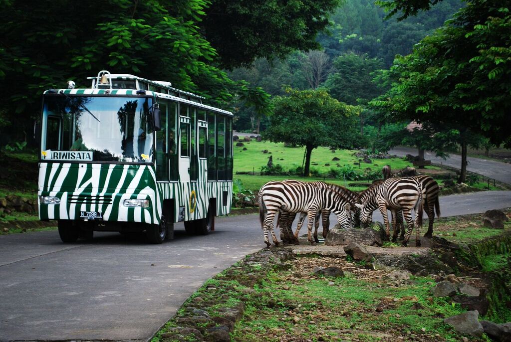 https://mdw-travel-data-us-east-1.s3.amazonaws.com/img/country/Indonesia/Taman-Safari-Prigen/img_01.jpg