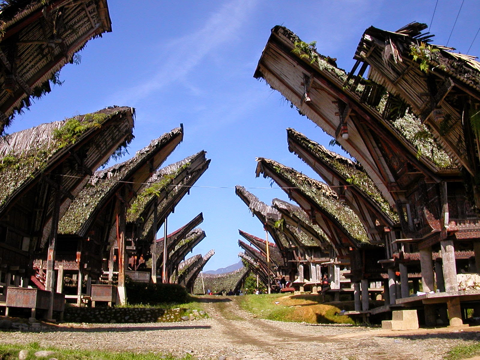 https://mdw-travel-data-us-east-1.s3.amazonaws.com/img/country/Indonesia/Tana-Toraja/img_03.jpg