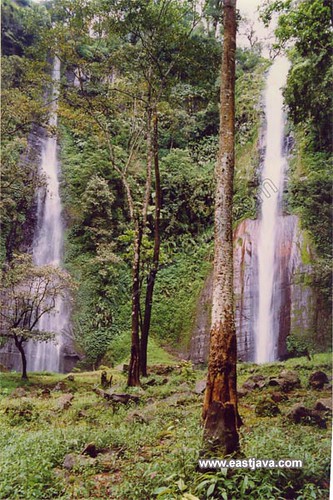 https://mdw-travel-data-us-east-1.s3.amazonaws.com/img/country/Indonesia/Tancak-Waterfall/img_02.jpg
