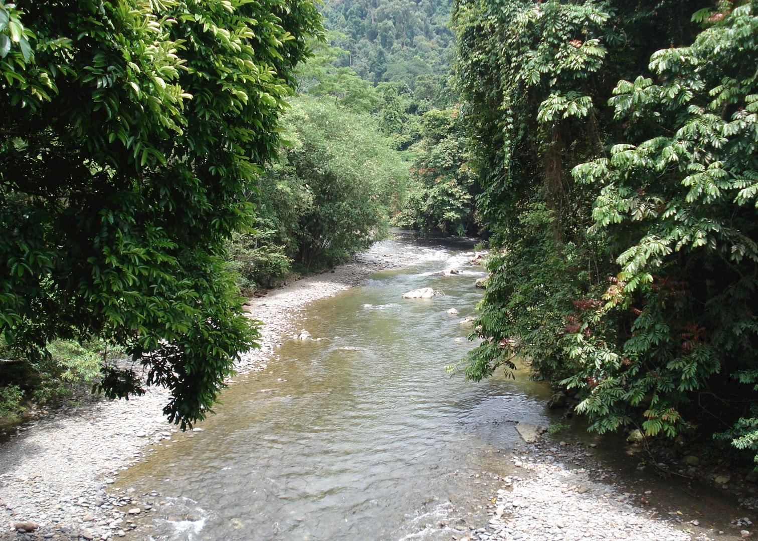 https://mdw-travel-data-us-east-1.s3.amazonaws.com/img/country/Indonesia/Tangkahan/img_01.jpg