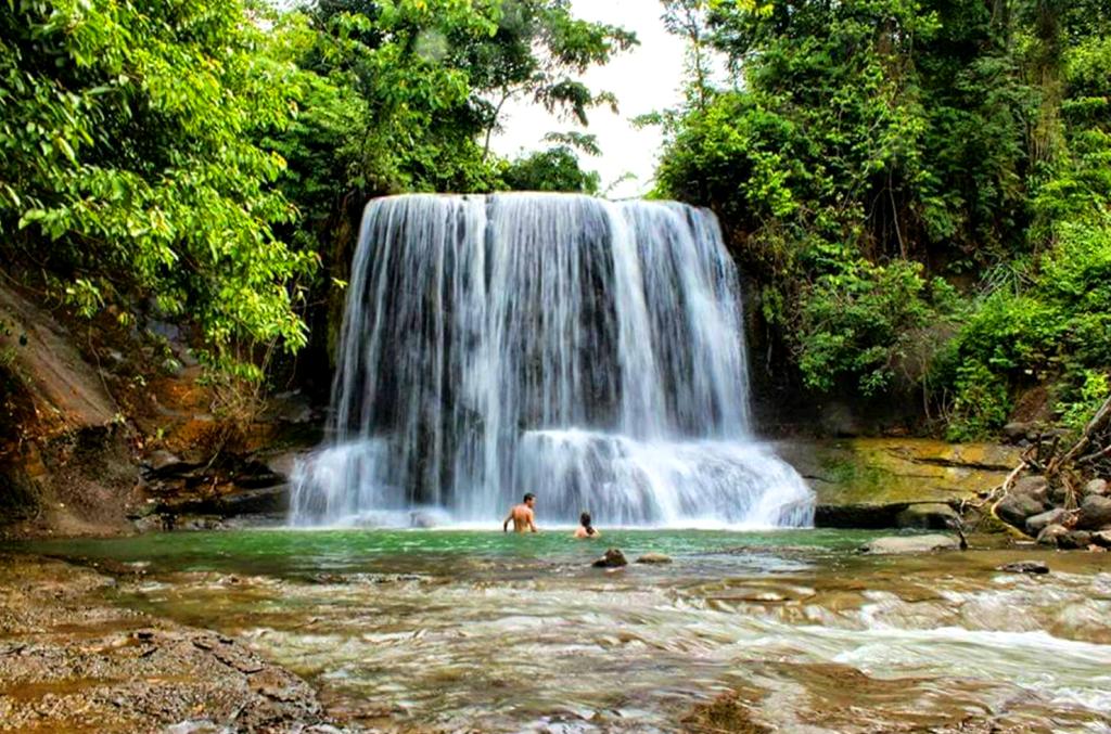 https://mdw-travel-data-us-east-1.s3.amazonaws.com/img/country/Indonesia/Tangkahan/img_02.jpg