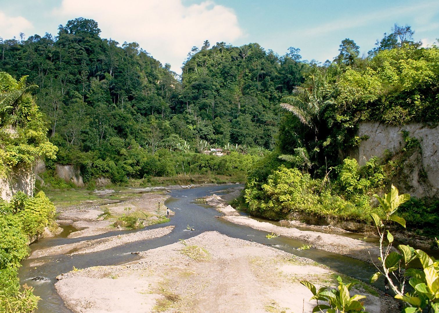 https://mdw-travel-data-us-east-1.s3.amazonaws.com/img/country/Indonesia/Tangkahan/img_03.jpg