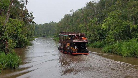 https://mdw-travel-data-us-east-1.s3.amazonaws.com/img/country/Indonesia/Tanjung-Puting/img_03.jpg