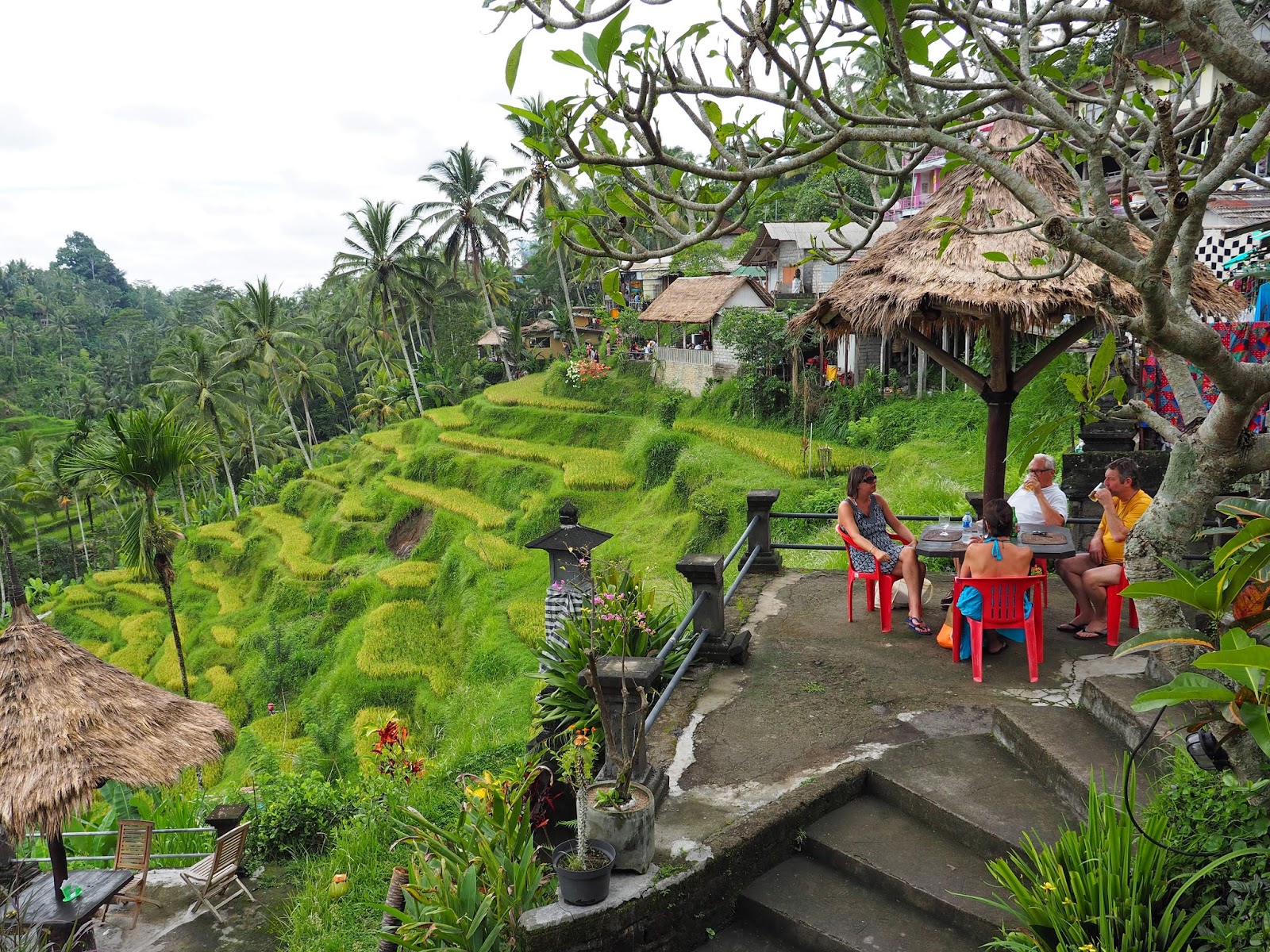 https://mdw-travel-data-us-east-1.s3.amazonaws.com/img/country/Indonesia/Tegallalang-Rice-Terraces/img_01.jpg
