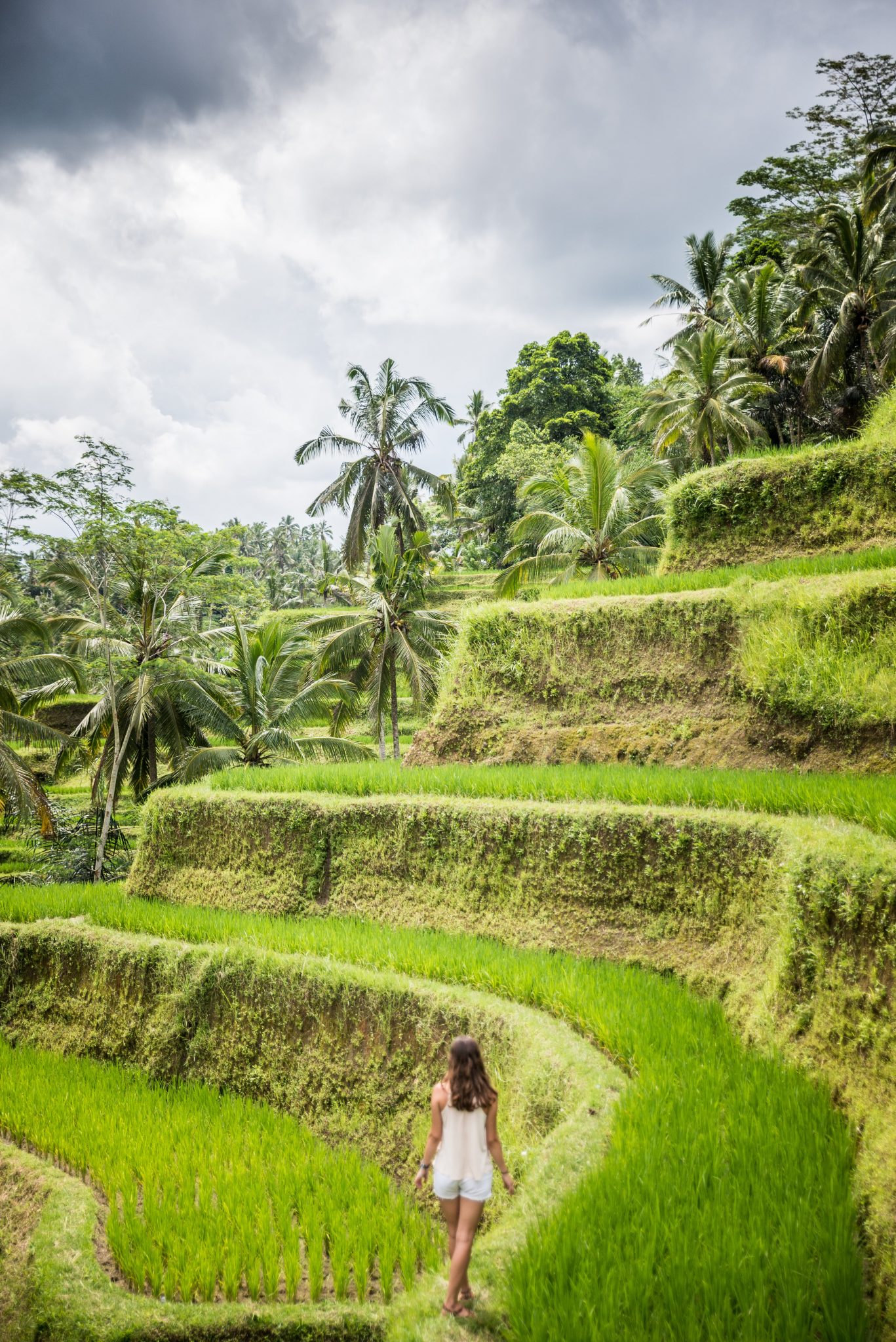 https://mdw-travel-data-us-east-1.s3.amazonaws.com/img/country/Indonesia/Tegallalang-Rice-Terraces/img_02.jpg