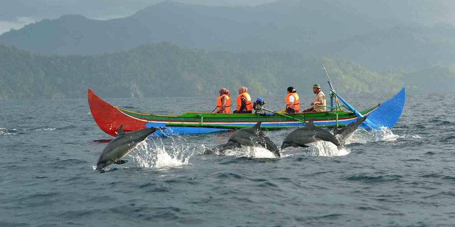 https://mdw-travel-data-us-east-1.s3.amazonaws.com/img/country/Indonesia/Teluk-Kiluan-Dolphin-Watching/img_02.jpg