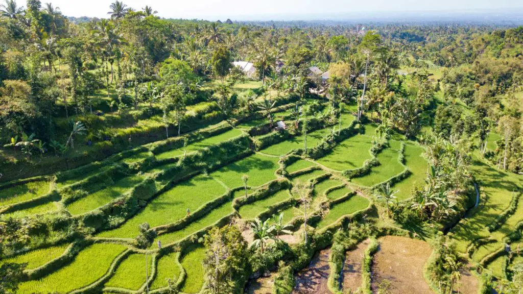 https://mdw-travel-data-us-east-1.s3.amazonaws.com/img/country/Indonesia/Tetebatu-Village/img_01.jpg