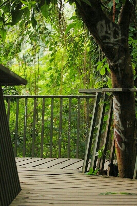 https://mdw-travel-data-us-east-1.s3.amazonaws.com/img/country/Indonesia/The-Hutan-Kota/img_02.jpg