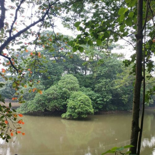 https://mdw-travel-data-us-east-1.s3.amazonaws.com/img/country/Indonesia/The-Hutan-Kota/img_03.jpg