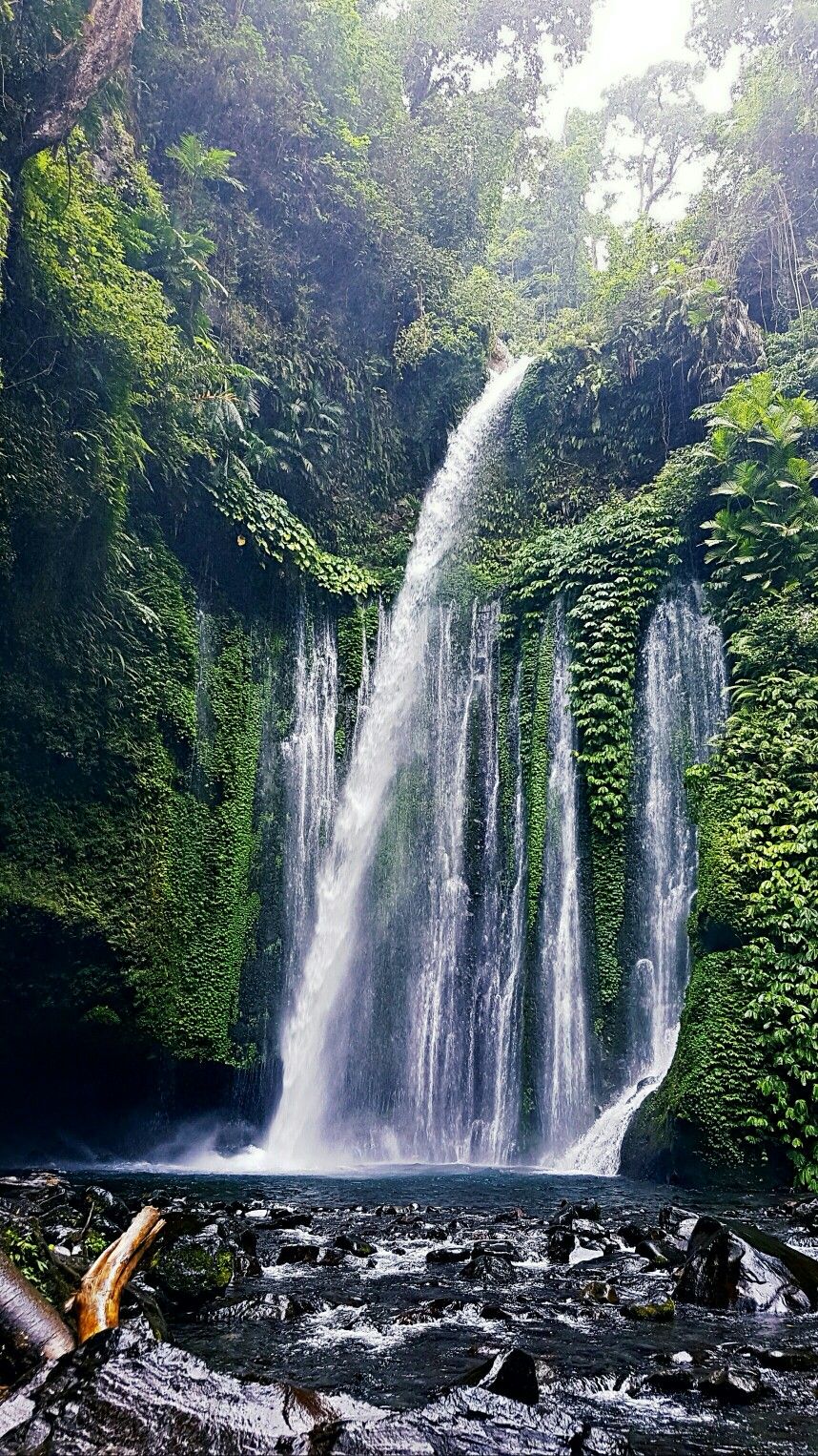 https://mdw-travel-data-us-east-1.s3.amazonaws.com/img/country/Indonesia/Tiu-Kelep-Waterfall/img_01.jpg