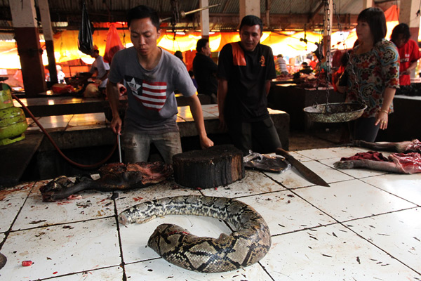 https://mdw-travel-data-us-east-1.s3.amazonaws.com/img/country/Indonesia/Tomohon-Traditional-Market/img_02.jpg