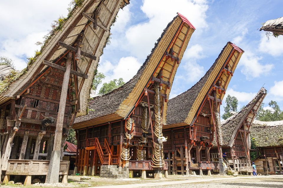 https://mdw-travel-data-us-east-1.s3.amazonaws.com/img/country/Indonesia/Toraja-Land/img_01.jpg