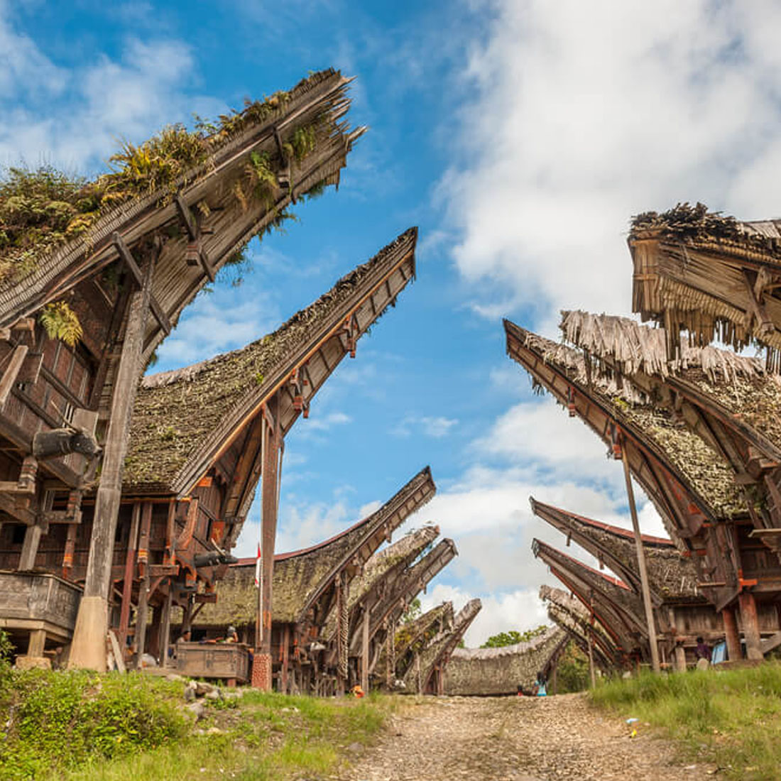 https://mdw-travel-data-us-east-1.s3.amazonaws.com/img/country/Indonesia/Toraja-Land/img_02.jpg