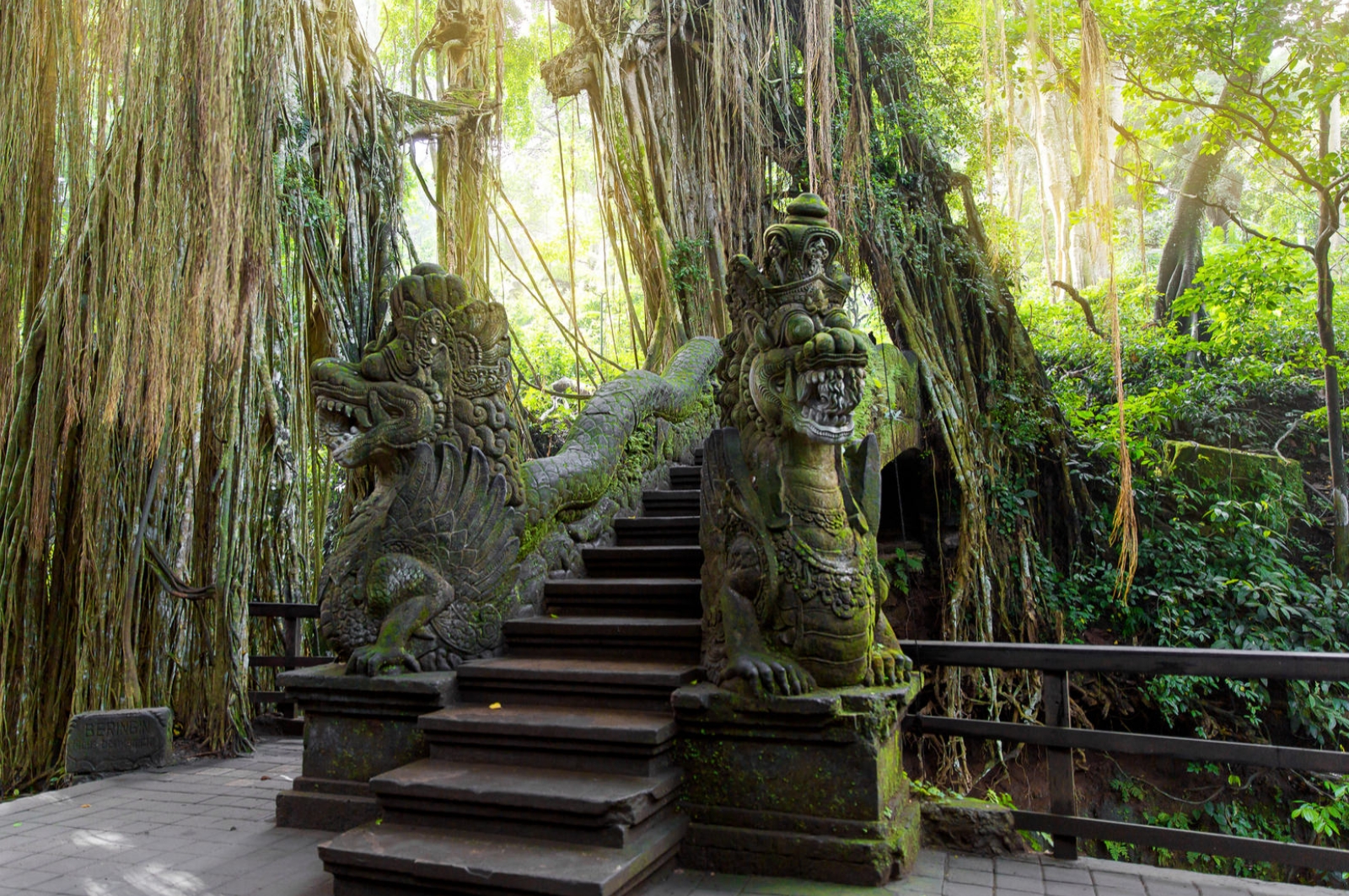 https://mdw-travel-data-us-east-1.s3.amazonaws.com/img/country/Indonesia/Ubud-Monkey-Forest/img_03.jpg