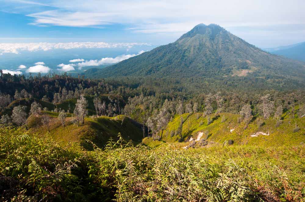 https://mdw-travel-data-us-east-1.s3.amazonaws.com/img/country/Indonesia/Ujung-Kulon-National-Park/img_01.jpg