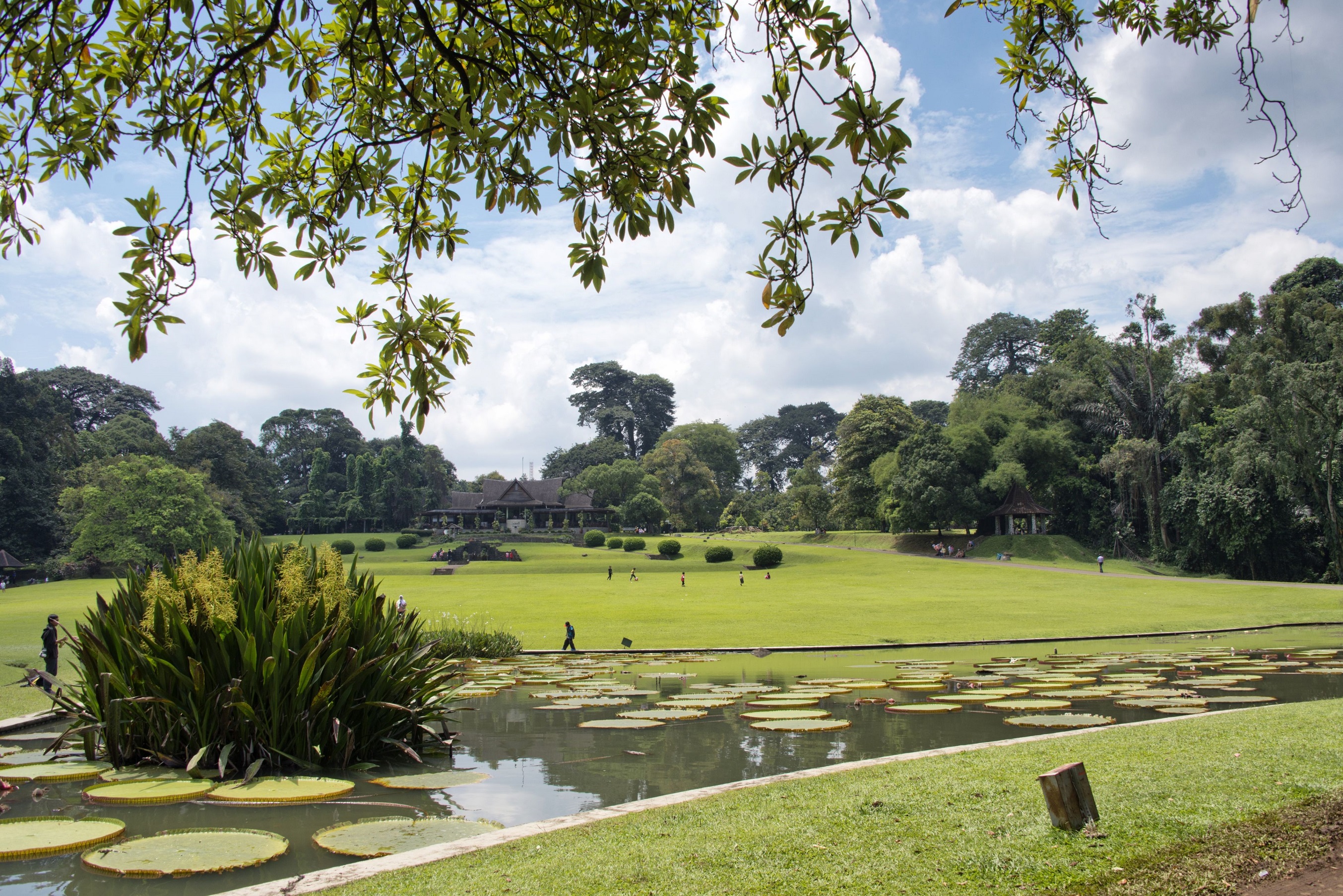https://mdw-travel-data-us-east-1.s3.amazonaws.com/img/country/Indonesia/Unima-Botanical-Garden/img_01.jpg