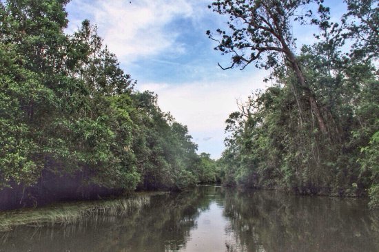 https://mdw-travel-data-us-east-1.s3.amazonaws.com/img/country/Indonesia/Way-Kambas-National-Park/img_01.jpg