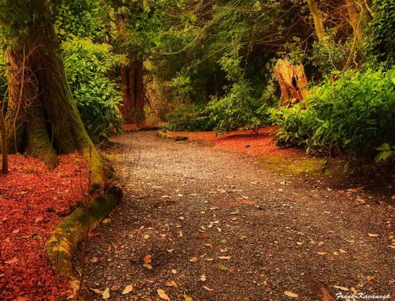 https://mdw-travel-data-us-east-1.s3.amazonaws.com/img/country/Ireland/Altamont-Gardens/img_03.jpg