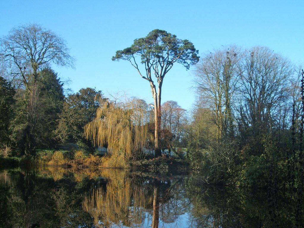 https://mdw-travel-data-us-east-1.s3.amazonaws.com/img/country/Ireland/Altamont-Gardens/img_05.jpg