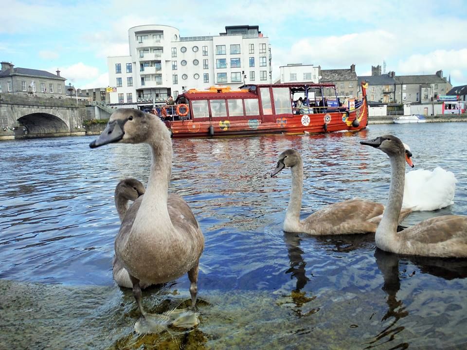 https://mdw-travel-data-us-east-1.s3.amazonaws.com/img/country/Ireland/Athlone-Boat-Tours/img_02.jpg