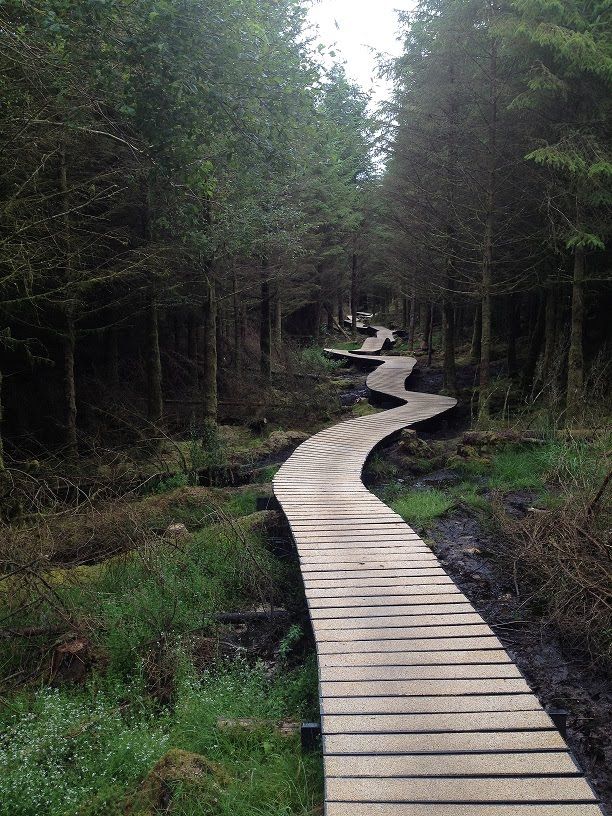 https://mdw-travel-data-us-east-1.s3.amazonaws.com/img/country/Ireland/Ballyhoura-Mountains/img_02.jpg