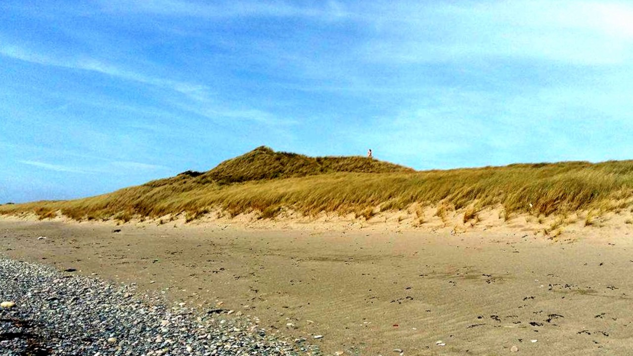 https://mdw-travel-data-us-east-1.s3.amazonaws.com/img/country/Ireland/Ballyteigue-Burrow/img_00.jpg