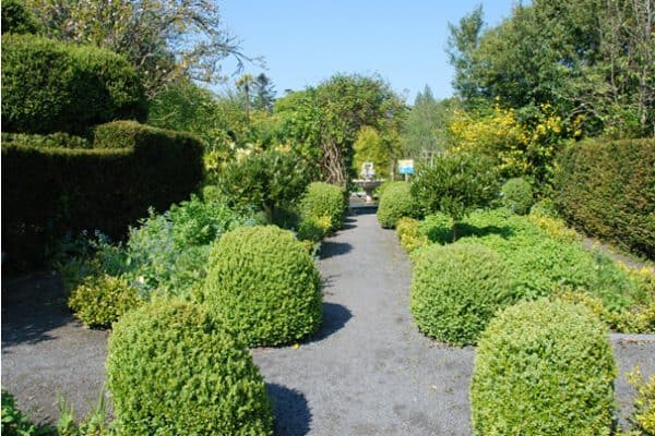 https://mdw-travel-data-us-east-1.s3.amazonaws.com/img/country/Ireland/Belvedere-House-Gardens-and-Park/img_00.jpg