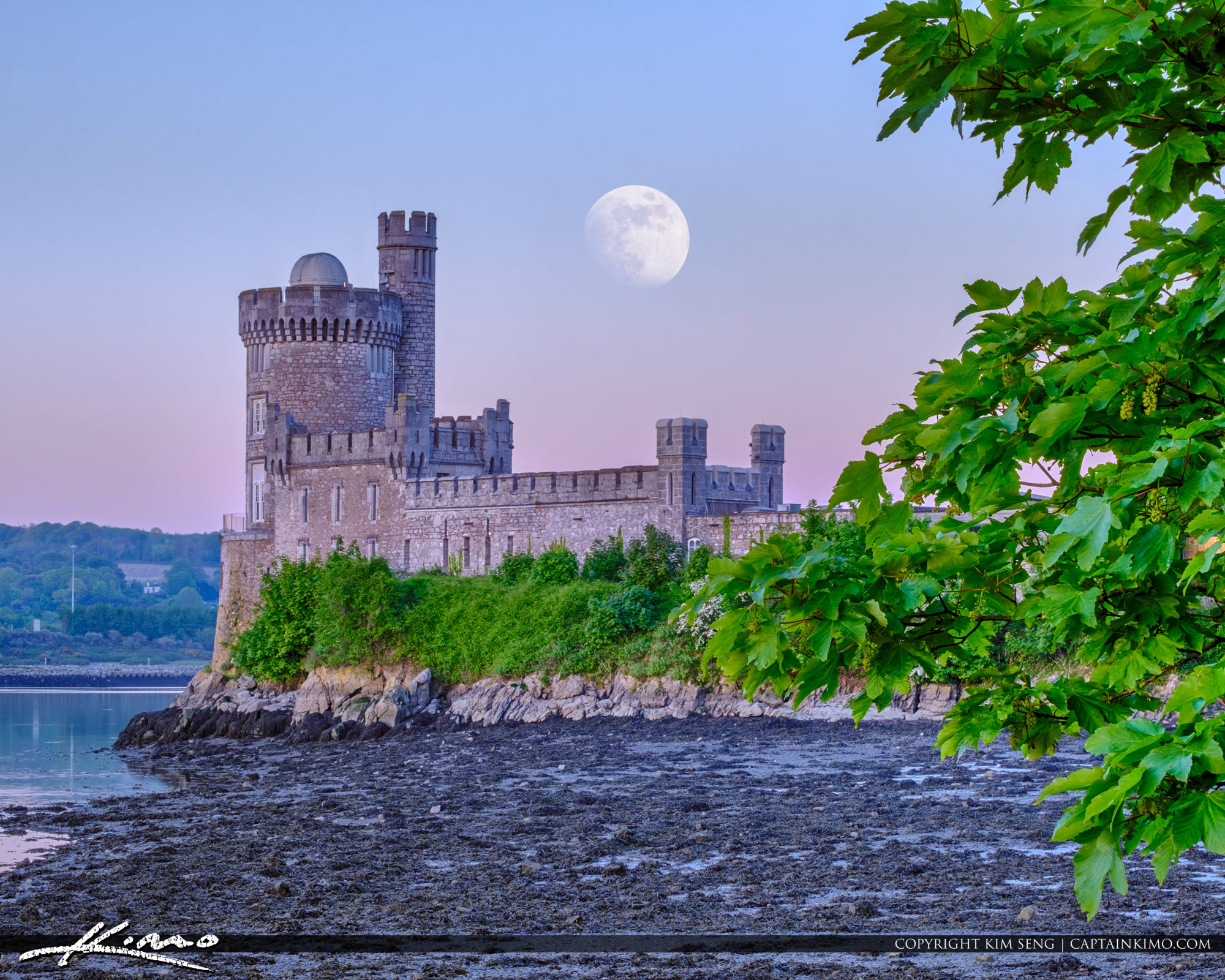 https://mdw-travel-data-us-east-1.s3.amazonaws.com/img/country/Ireland/Blackrock-Castle-Observatory/img_02.jpg