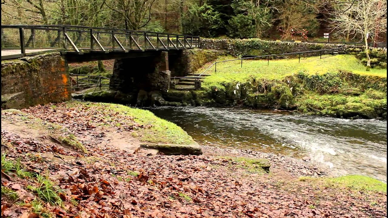 https://mdw-travel-data-us-east-1.s3.amazonaws.com/img/country/Ireland/Colligan-Woods/img_03.jpg