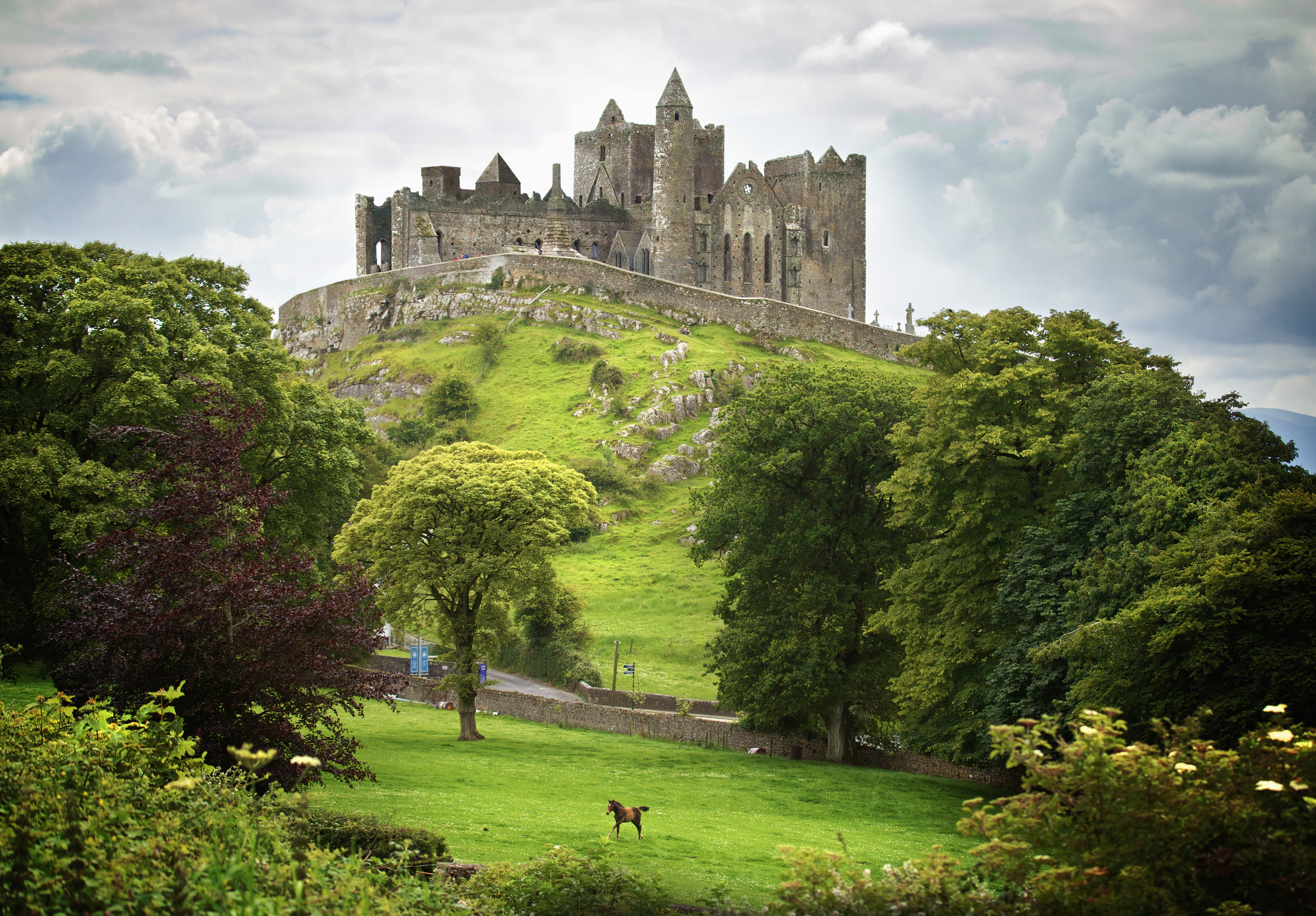 https://mdw-travel-data-us-east-1.s3.amazonaws.com/img/country/Ireland/Cong-Wood/img_01.jpg
