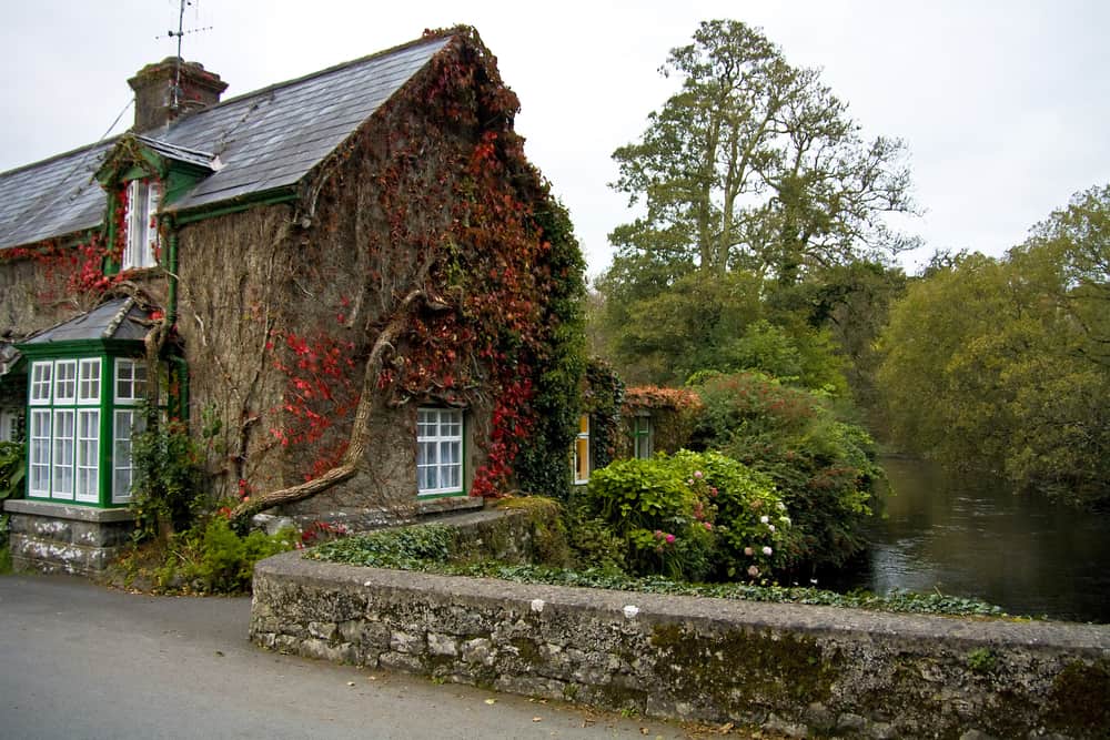 https://mdw-travel-data-us-east-1.s3.amazonaws.com/img/country/Ireland/Cong-Wood/img_03.jpg