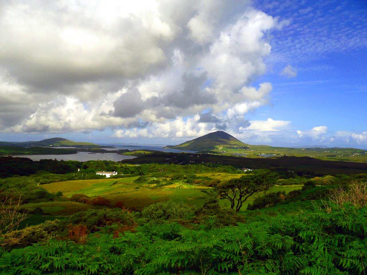 https://mdw-travel-data-us-east-1.s3.amazonaws.com/img/country/Ireland/Connemara-National-Park/img_02.jpg