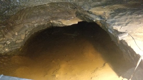 https://mdw-travel-data-us-east-1.s3.amazonaws.com/img/country/Ireland/Crag-Cave/img_01.jpg