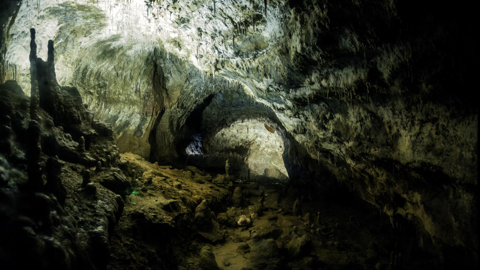 https://mdw-travel-data-us-east-1.s3.amazonaws.com/img/country/Ireland/Crag-Cave/img_03.jpg
