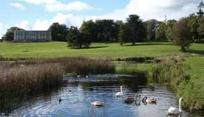 https://mdw-travel-data-us-east-1.s3.amazonaws.com/img/country/Ireland/Curraghchase-Forest-Park/img_00.jpg