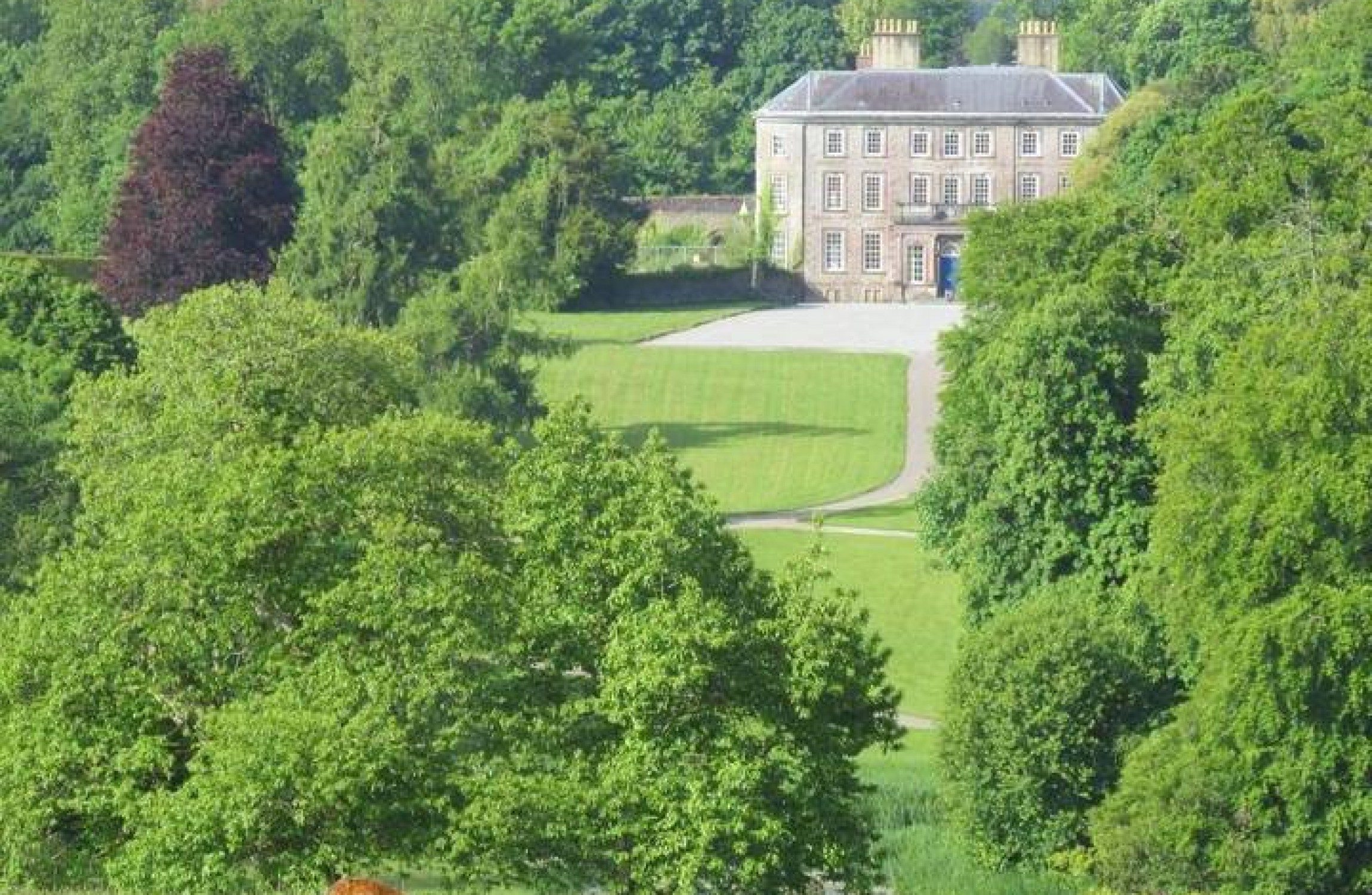 https://mdw-travel-data-us-east-1.s3.amazonaws.com/img/country/Ireland/Doneraile-Wildlife-Park/img_01.jpg