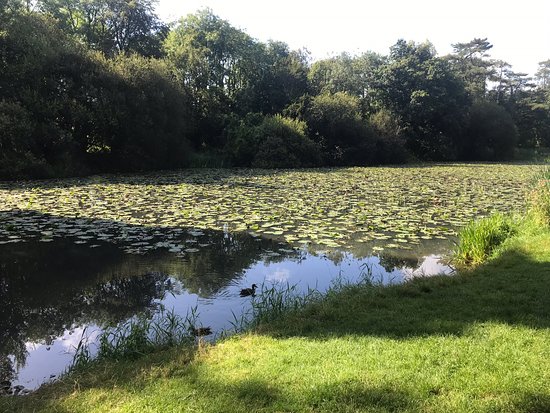 https://mdw-travel-data-us-east-1.s3.amazonaws.com/img/country/Ireland/Doneraile-Wildlife-Park/img_02.jpg